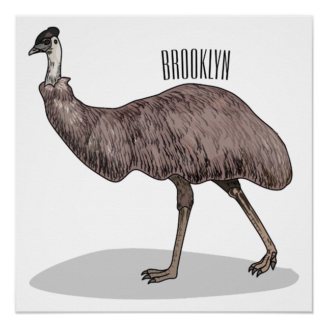 Emu bird cartoon illustration  poster (Front)