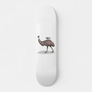 Emu bird cartoon illustration skateboard
