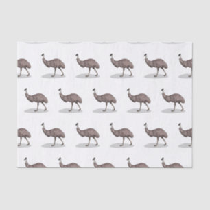 Emu bird cartoon illustration  tissue paper