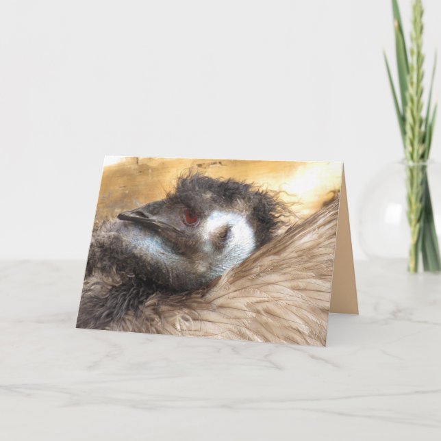 Emu Bird Greeting Card (Front)