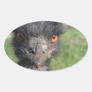 Emu Bird Stickers
