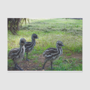 Emu Chicks With Parents, Tissue Paper