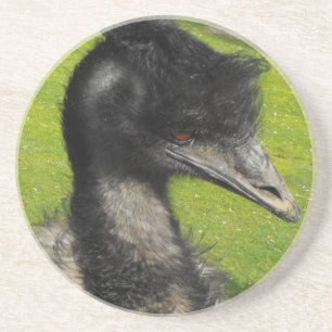 Emu Coaster