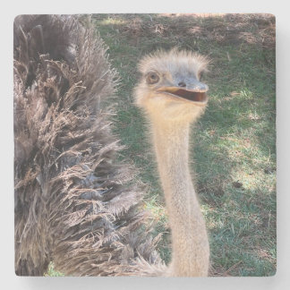 Emu coaster