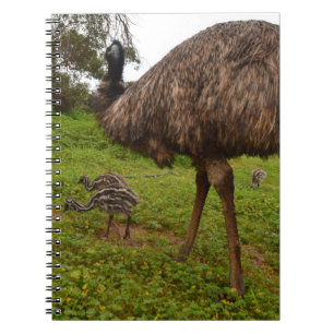 Emu Daddy With Chicks,  Notebook