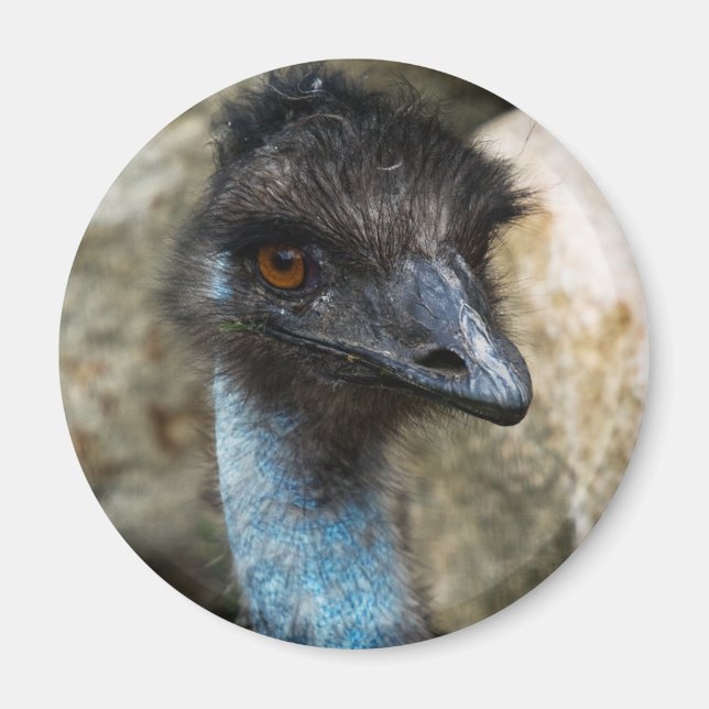 Emu Head Magnet (Front)