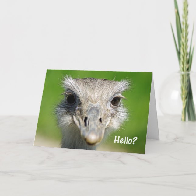 Emu Hello Card (Front)