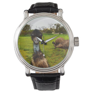 Emu I Dare You, Watch