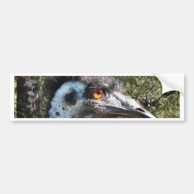 Emu in Australia Bumper Sticker (Front)