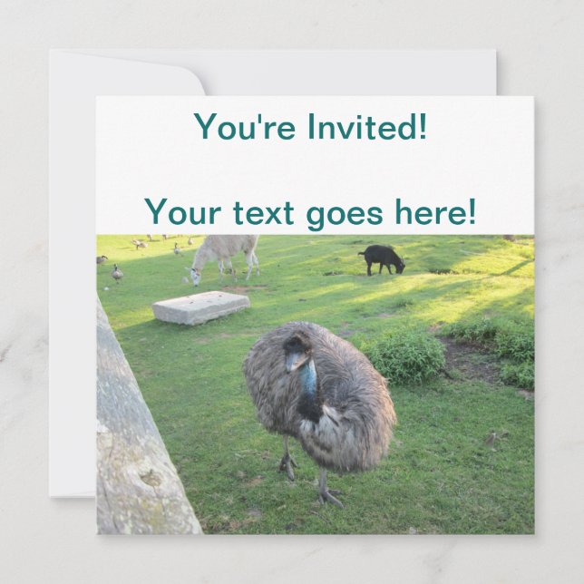 Emu Invitation (Front)