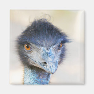 Emu Magnet