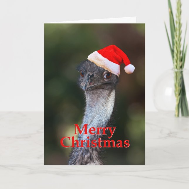 Emu Merry Christmas Holiday Card (Front)