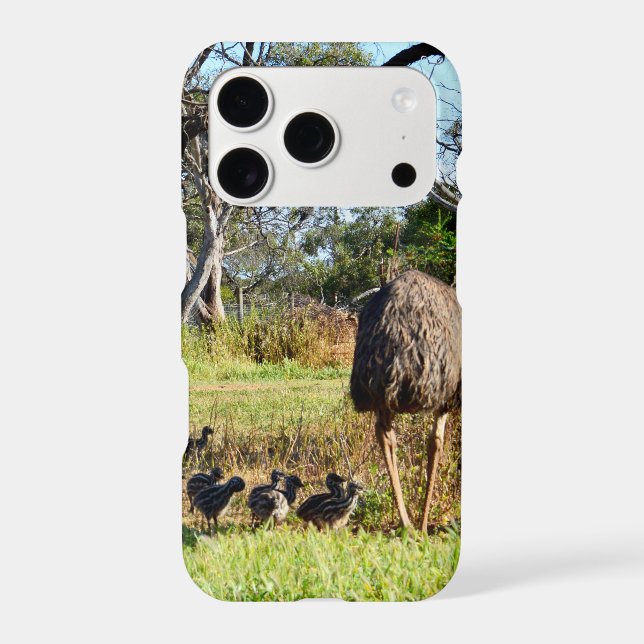 Emu Parents With Chicks,   (Back)