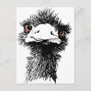 Emu Postcard