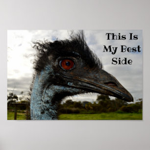 Emu Showing Her Best Side, Poster
