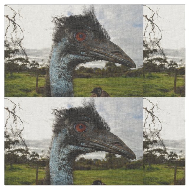 Emu Twinkle Eyes, Fabric (Close Up)