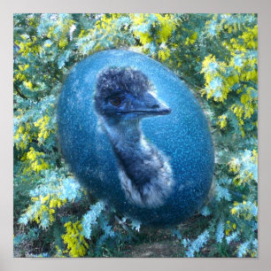 Emu  Wildlife Poster