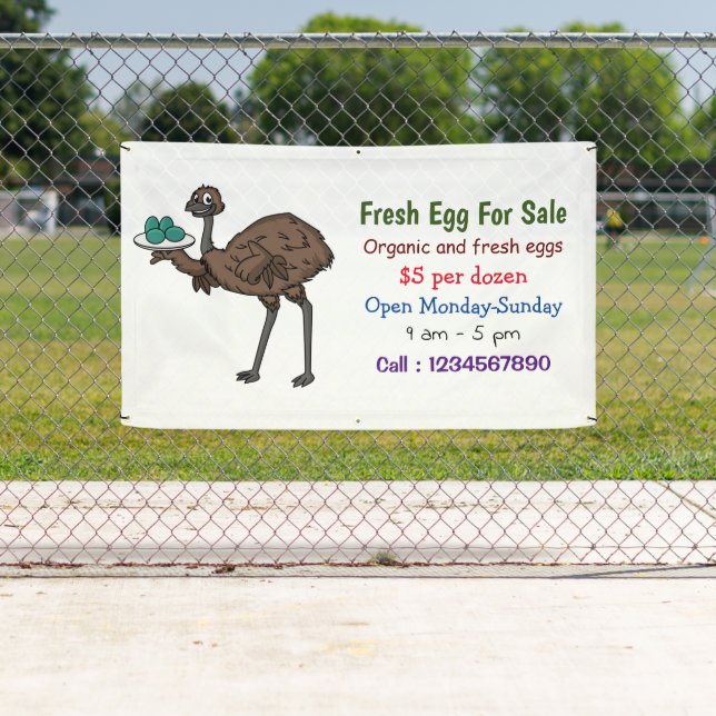 Emu with eggs cartoon fresh egg sign for sale (Insitu)