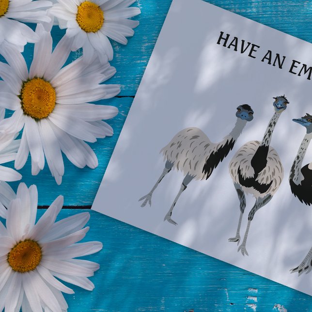 Emus Bird Lovers Custom Message Postcard (Creator Uploaded)
