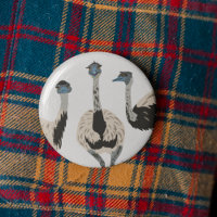 Emus Bird Lovers Illustrated