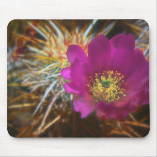 Enchanted Bloom Mouse Mat