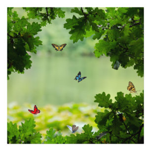 Enchanted Butterfly Forest Photo Print