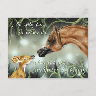 Enchanted by beauty postcard