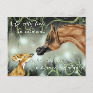 Enchanted by beauty postcard