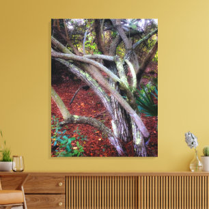 Enchanted Clearing Canvas Print