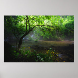 Enchanted forest and waterfall poster