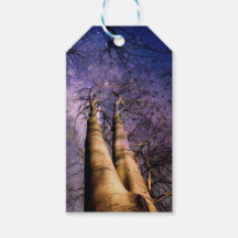 Enchanted Forest