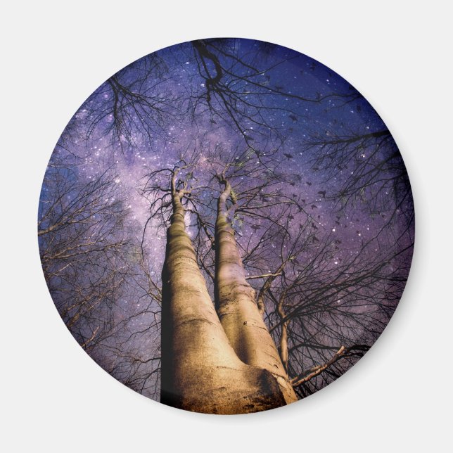 Enchanted Forest Magnet (Front)