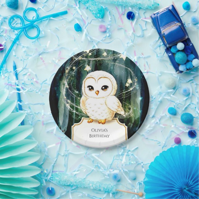 Enchanted Forest Owl Birthday Paper Plate (Party)