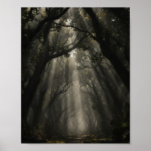 Enchanted Forest Path: Ethereal Light and Shadows Poster