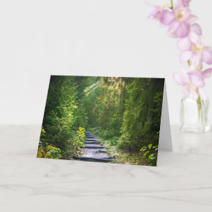 Enchanted Forest Path Green Card