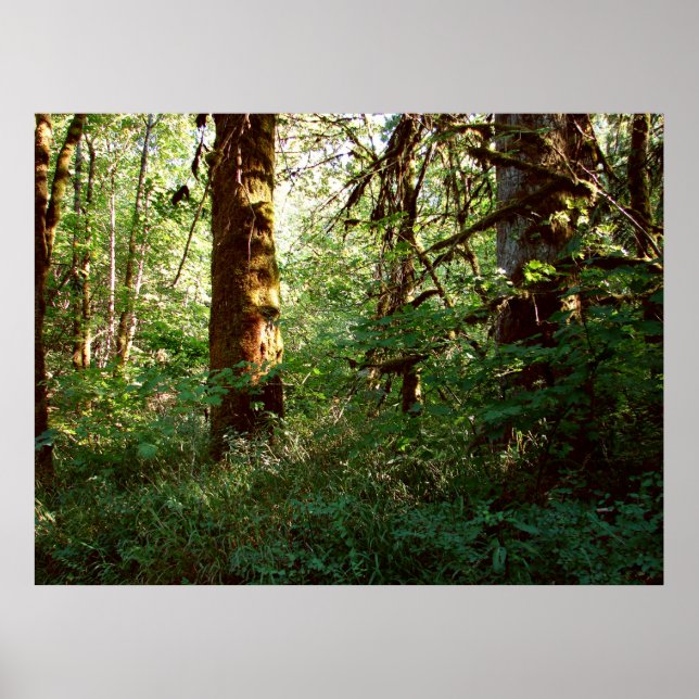 Enchanted Forest Poster Print (Front)