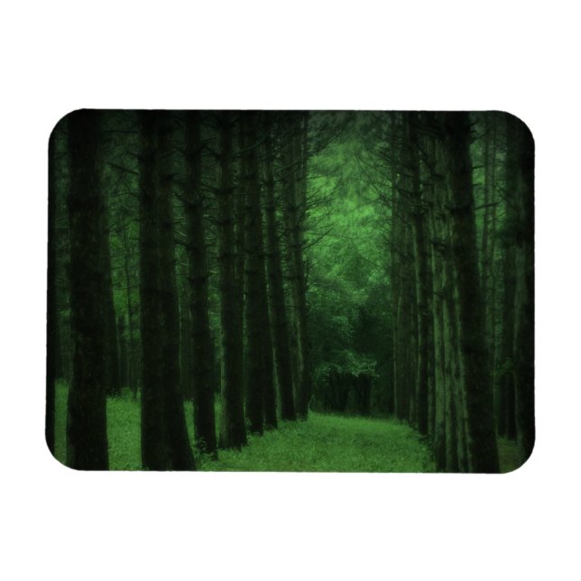 Enchanted Forest Premium Magnet (Horizontal)