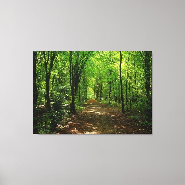 Enchanted Forest Road 5 Canvas Print (Front)