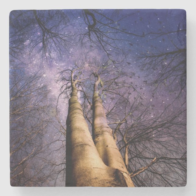 Enchanted Forest Stone Coaster (Front)