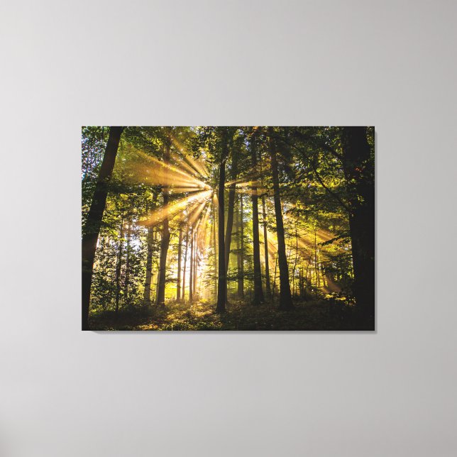 Enchanted Forest Sun Rays 1 Canvas Print (Front)