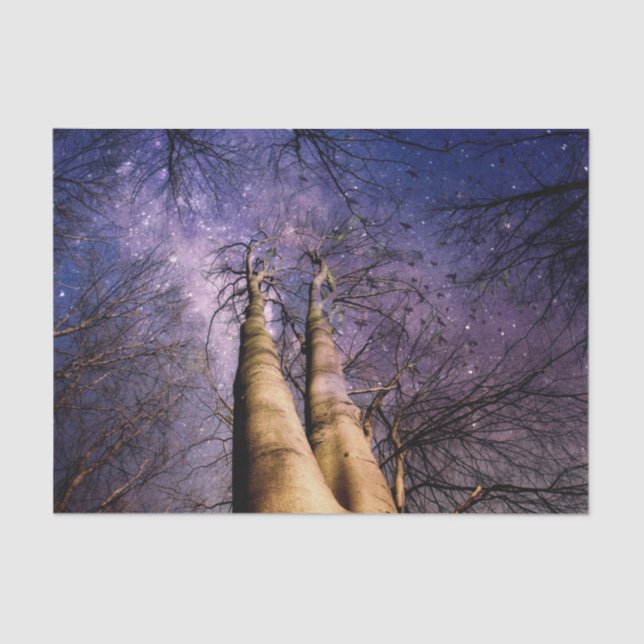 Enchanted Forest Tissue Paper (Front)