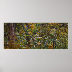 Enchanted Forest Trail Poster