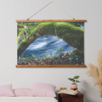Enchanted magical forest