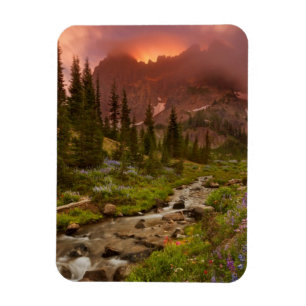 Enchanted Meadows Magnet