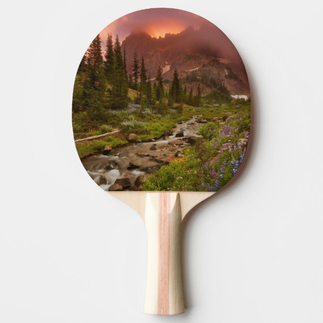 Enchanted Meadows Ping Pong Paddle (Front)
