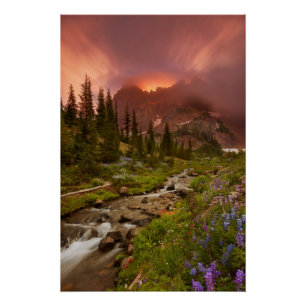 Enchanted Meadows Poster