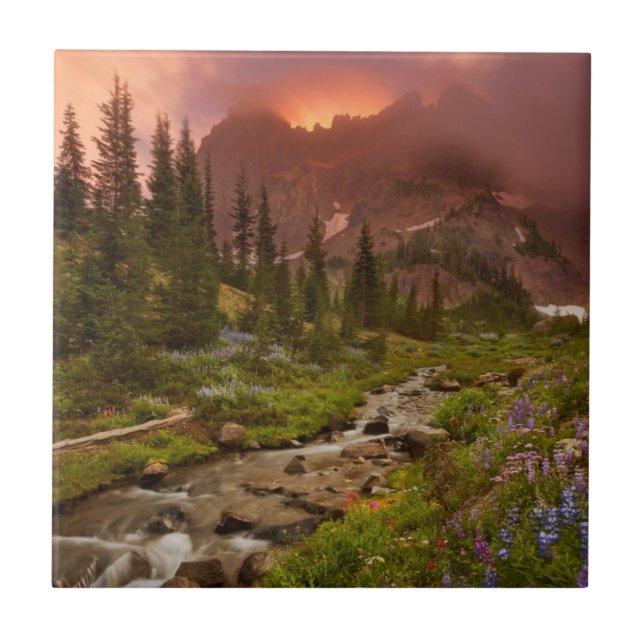 Enchanted Meadows Tile (Front)