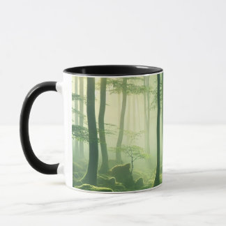 Enchanted Misty Forest Serene Green Woodland Scene Mug