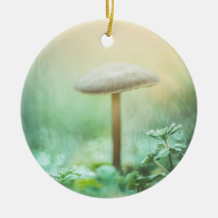 Enchanted Mushroom Nature Photo Ceramic Tree Decoration