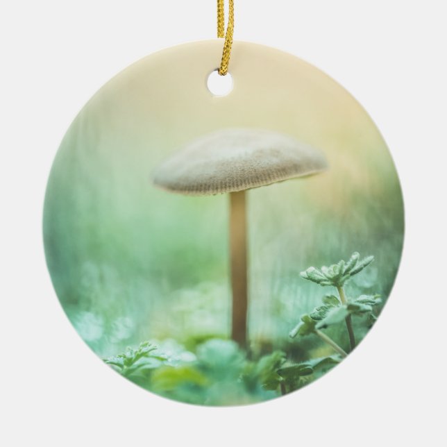 Enchanted Mushroom Nature Photo Ceramic Tree Decoration (Front)